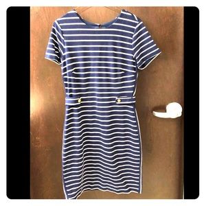 Banana Republic Navy Striped dress